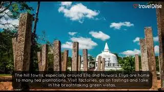Beautiful Sri Lanka | TravelDilSe