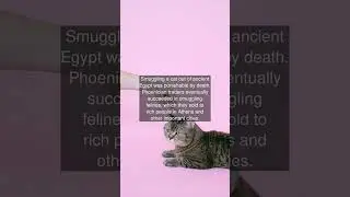 Smuggling a cat out of ancient Egypt was punishable by death. Phoenician traders...