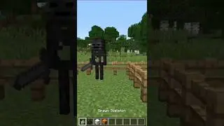 Mas o que é isso MOJANG? 