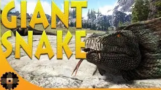 GIANT SNAKE! HOW TO TAME A TITANOBOA. Ark Ragnarok Ep.1