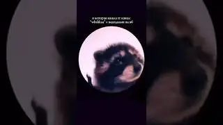 когда потратила все деньги мужа на вб😂 #musica #tv #music #automobile #врек