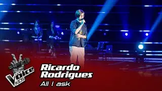Ricardo Rodrigues - 