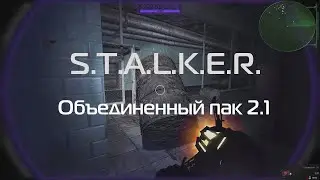 ОП-2.1. Уровень - Реализм. 