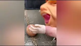 Трамп ест сырое яйцо, кукла на руку