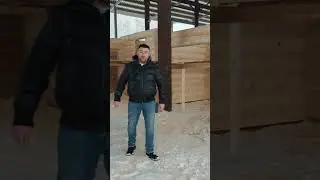 Построили дом из бревна!