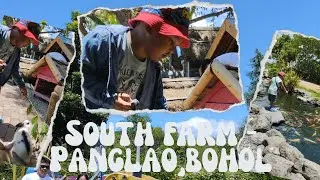 Farm Animals Kita-kits | South Farm | Panglao | Bohol