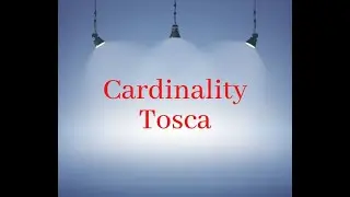 Master Tosca Cardinality with THIS Secret Technique | best software training institute in hyderabad