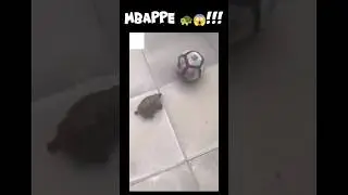 It's Mbappe🐢😱!