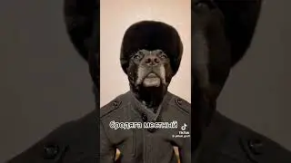 #youtube #видео #shortsvideo #ютуб #смех