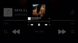 9mice - IMYA 2 (snippet 03.10.24)