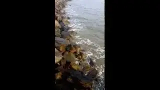The Beautiful Sound of St . Simons Island beach
