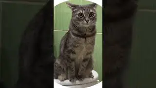 Наша Сонечка