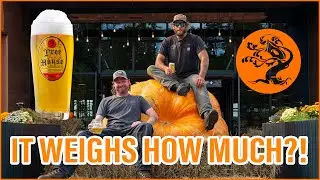 Guess the weight of this pumpkin. Win cool stuff.