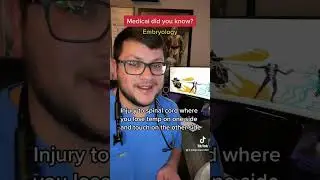 Medical did you know, episode 13, Embryology