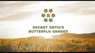 San Jose's Secret Native Butterfly Garden Demo