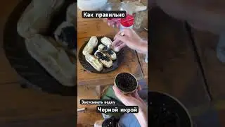 Как правильно закусывать водку черной икрой
