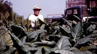 Tribute to Anthony Padelskas American Farmer 1894-1977