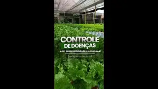 Desde que instalamos a máquina de íons no sistema,