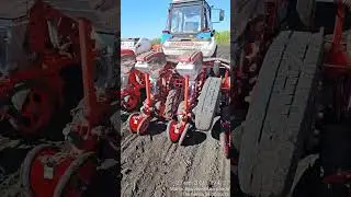Ранний посев сои.