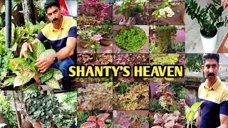 HOME GARDEN TOUR