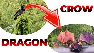 Crow to Dragon | Kargadan Ejderhaya 