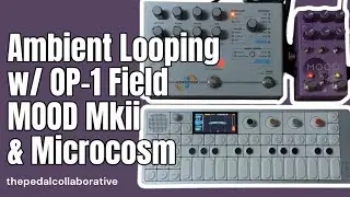 Ambient Looping Demo with Mood Mkii + Microcosm // ft. OP-1 Field  