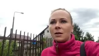 Что я вижу перед работой,и на роботе,пушистые и разные