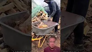 Прожил месяц в теплице безвылазно. Смогли бы так?