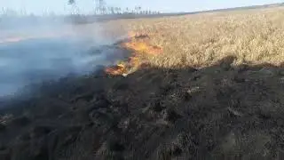 Весенние пожары
