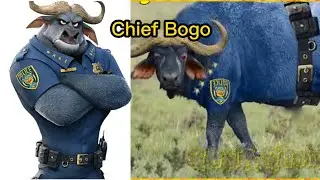 ZOOTOPIA CHARACTERS IN REAL LIFE