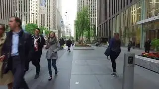 Demo Video For Website Testing Or Development