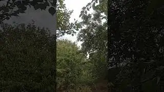 Утро с наилучшими по́желаниями 28#августа
