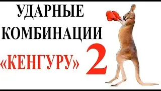 Комбинации ударов руками и ногами, серии ударов в атаке. Техника 