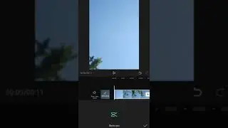 Как делать интересный эффект (на черно-белом видео цветное) с помощью приложения cupcat.