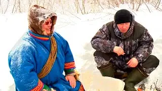 Питание ненцев. Что едят жители Севера? (часть проекта)