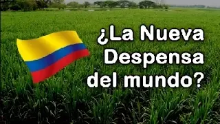 La Sorprendente Transformacion de Colombia a Traves del Agro | Documental