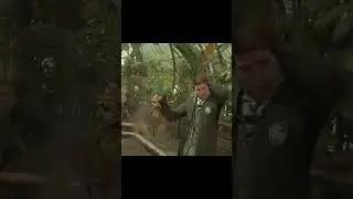 Hogwarts Legacy - Mandrake Scream Scene #hogwartslegacy