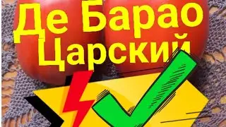 🍅364🍅Царские помидоры 🍅 Де Барао Царский. Обзор дачи..🌿🌿🌿🍅🌿🍅🌍😍🌼🌼🌼🍅🍅🍅