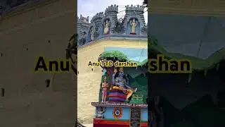 Below one year baby darshan details|supadham entry#tirumala Anu TTD darshan#shorts#shortvideo
