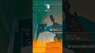 the NERFED WSP SWARM is still the META! Class at End