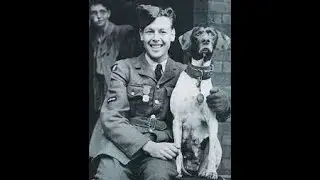 Dogs & other heroes #3 POW dog Judy pt. 2 the hero