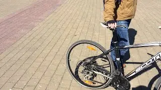Голуби 5.04.2020