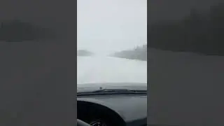 Буран бляха муха....