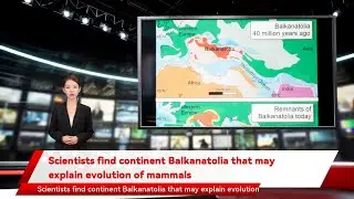 Scientists find continent Balkanatolia that may explain evolution of mammals