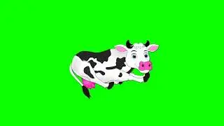 Cow green screen no copyright free video/Cow green screen video