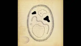 Golan Levin's Cytographia (Art Blocks Promotional Video #2)