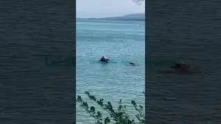 Lac Léman Suisse-France Excenevex