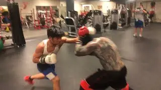LIL CRACRA VS MIGHTY MOUSE (boxing fight)