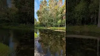 Shingle Creek