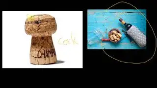 Discovery of Cell (dead cells)  by Robert Hooke | Urdu/Hindi
